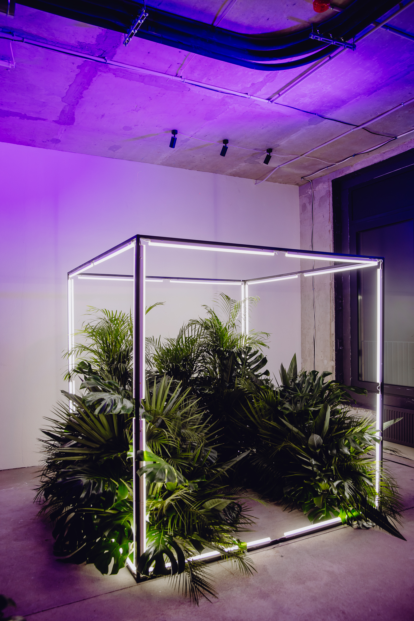 Галерея - Plus1event